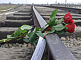 Niedergelegte Rosen für die Familienmitglieder von Max Volpert.