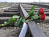 Niedergelegte Rosen fr die Familienmitglieder von Max Volpert.