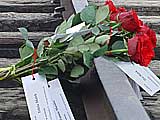11 Rosen für die Familienmitglieder von Chaim Melech