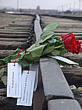 Rosen für die Mutter, Schwester und Großeltern von Peter Gardosch.